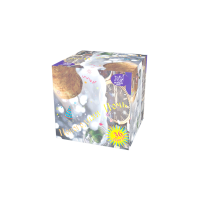 Новогодняя ночь Салют купить в Сочи | sochi.salutsklad.ru