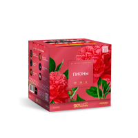 Пионы Салют купить в Сочи | sochi.salutsklad.ru