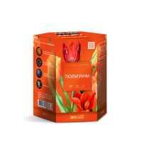 Тюльпаны Салют купить в Сочи | sochi.salutsklad.ru