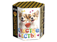 Счастье есть! Салют купить в Сочи | sochi.salutsklad.ru