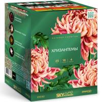 Хризантемы Фейерверк купить в Сочи | sochi.salutsklad.ru