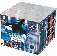 Косатка Фейерверк купить в Сочи | sochi.salutsklad.ru