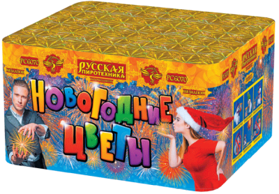 Новогодние цветы Фейерверк купить в Сочи | sochi.salutsklad.ru