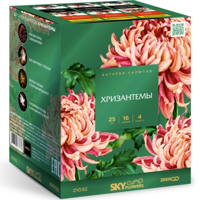 Хризантемы Фейерверк купить в Сочи | sochi.salutsklad.ru