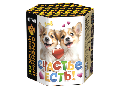 Счастье есть! Салют купить в Сочи | sochi.salutsklad.ru